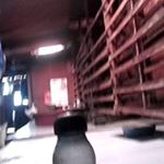 Profile Picture of Boma Gotingco (@bomagotingco) on Instagram
