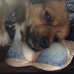 Profile Picture of Stephen Cassaro (@fast.hamburger) on Instagram