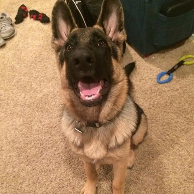 Profile Picture of Garrett Guinn (@Garrett_Guinn17) on Twitter