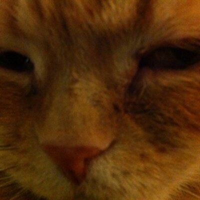 Profile Picture of Eric Macfarlane (@macaroon88) on Twitter