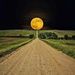Profile Picture of Bianca Llamas (@wonkaluv) on Pinterest