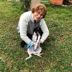 Profile Picture of Angela Menghini (@angela.menghini.52) on Instagram