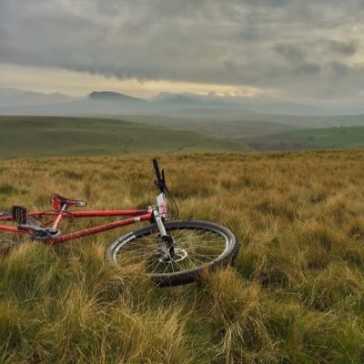 Profile Picture of William Patterson (@willp1987) on Twitter