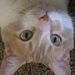 Profile Picture of James Freeland (@freeland0541) on Pinterest