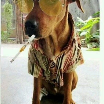 Profile Picture of Jeremiah Corey (@jeremiah_corey) on Twitter