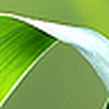 Profile Picture of cecilia  hernandez (@green peace1) on Flickr