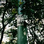 Profile Picture of 谢寅 (@epflucy_xy) on Instagram