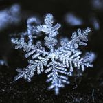 Profile Picture of Amber Winters (@amariawinters) on Instagram