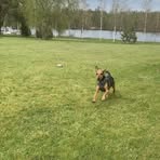 Profile Picture of Michaela Rossmann (@Michaela-Rossmann) on Facebook