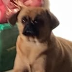 Profile Picture of Alexander ArpWilhjelm (@alexander.arpwilhjelm) on Facebook