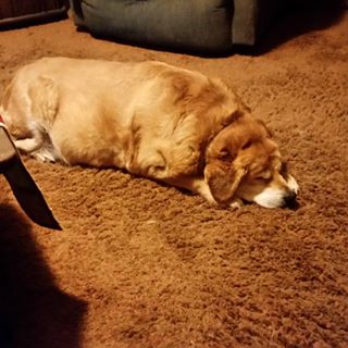 Profile Picture of Jack Hassek (@jack.hassek.96) on Facebook