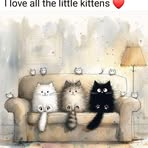 Profile Picture of Julie Shinkle (@julie.shinkle.33) on Facebook