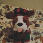 Profile Picture of Benito Alvarez (@benito_alvarez1) on Instagram