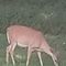 Profile Picture of Joseph Rutledge (@joseph.rutledge.52056) on Facebook