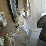 Profile Picture of tyler (@tyler_deboer2050) on Instagram