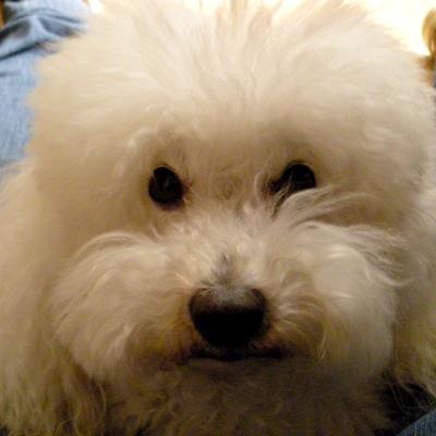 Profile Picture of Giancarlo D'Amato (@Giadam60) on Twitter