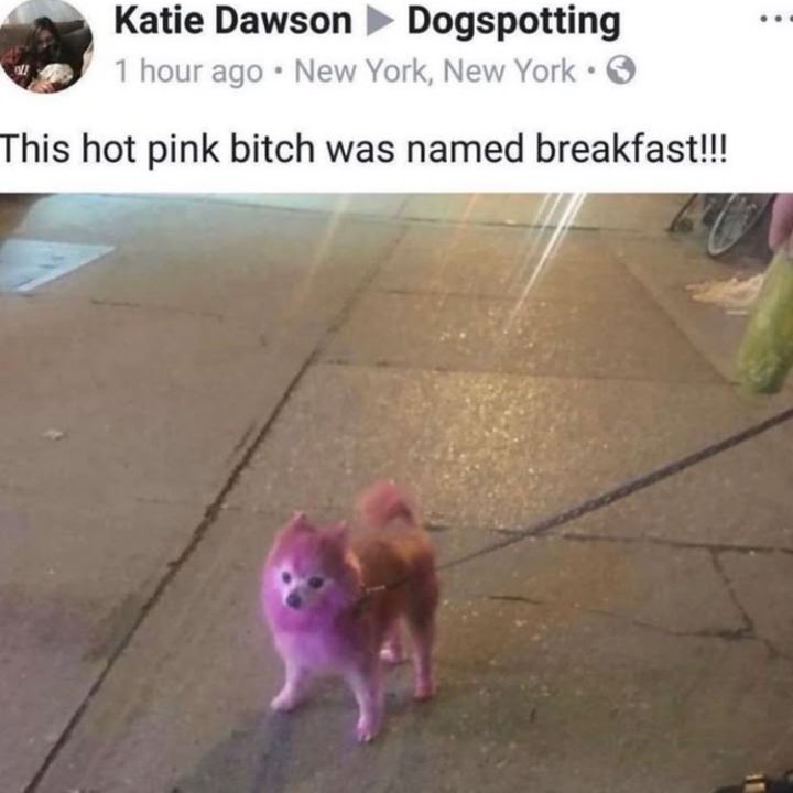 Profile Picture of shawtyregan (@shawtyregan) on Tiktok