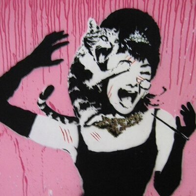 Profile Picture of Schwarzenbacher (@gatoconstipado) on Twitter