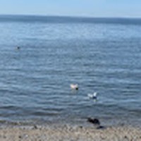 Profile Picture of Jessica Hakim (@jessica-hakim-5) on Quora