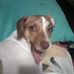 Profile Picture of Debra Tuttle (@debra.tuttle.180) on Facebook