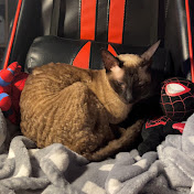 Profile Picture of ELENCHIK (@elenchik69) on Youtube