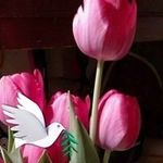 Profile Picture of Joyce Mullican (@mullicanjoyce) on Instagram