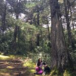 Profile Picture of Daniela Zapata (@daniela.zapata1) on Instagram