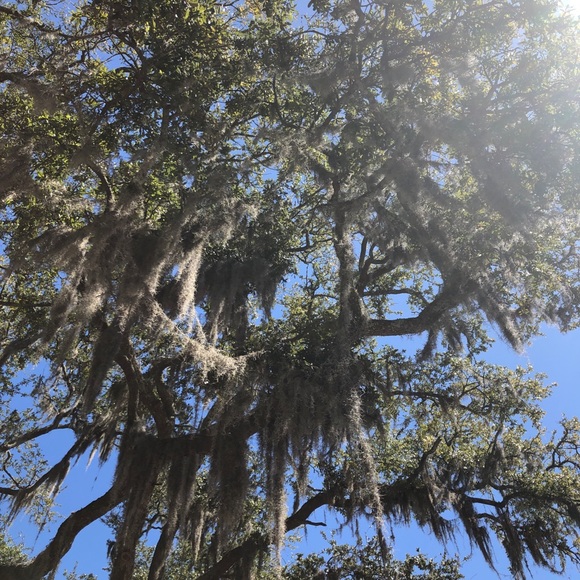 Profile Picture of Katrina Cauble (@katrinacauble) on Poshmark