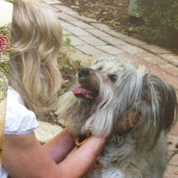 Profile Picture of Jan Mazzone (@janmazzone) on Poshmark