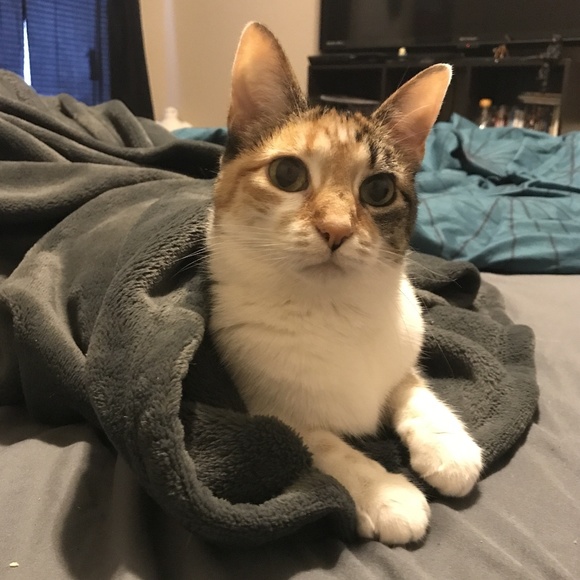 Profile Picture of Andie Antonik (@aantonik101) on Poshmark