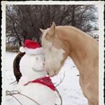 Profile Picture of Janice Emerle Winkler (@janiceemerle) on Instagram