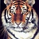 Profile Picture of Johnny Midkiff (@174413598) on Myspace