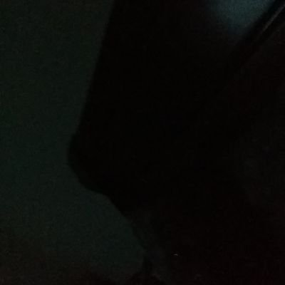 Profile Picture of Andrew Guedes (@andrew_archibal) on Twitter