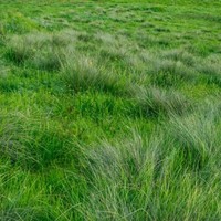 Profile Picture of Paul Monn (@paul-monn-1) on Quora