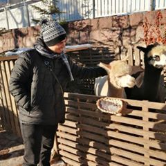 Profile Picture of Mike Mazzella (@mikemazzella82) on Tiktok