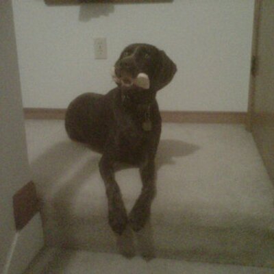 Profile Picture of Tony Rohr (@T_Rizzle32) on Twitter