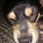 Profile Picture of Briar Adair (@briar_788) on Instagram