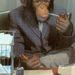 Profile Picture of Jim Tessmer (@jim455cid) on Pinterest
