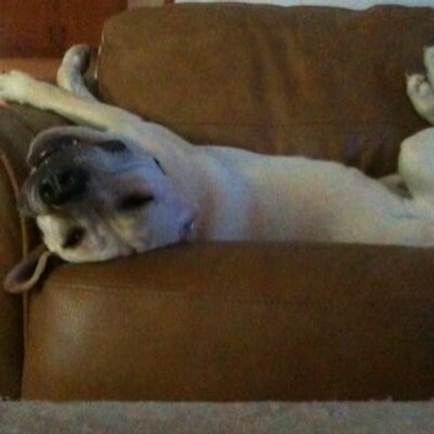 Profile Picture of Patrick Carpenter (@pdcarpen) on Twitter
