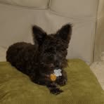 Profile Picture of Percy Trimble (@percy.trimble.3) on Facebook