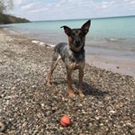 Profile Picture of tim (@prahltim) on Instagram