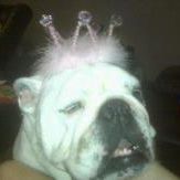 Profile Picture of Micheale Pastuszek (@rhino4shell) on Pinterest