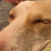 Profile Picture of Michael OConnor (@michaeloconnor459) on Youtube