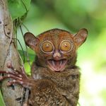 Profile Picture of Резник Марк (@godmode_on333) on Instagram