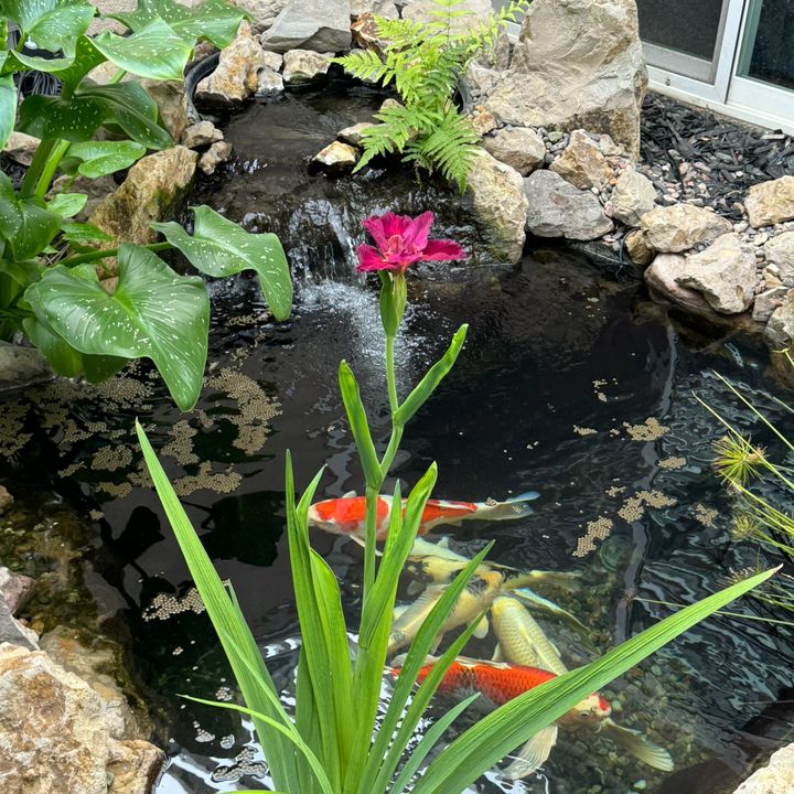 Profile Picture of Ness (@nessrichard4) on Tiktok