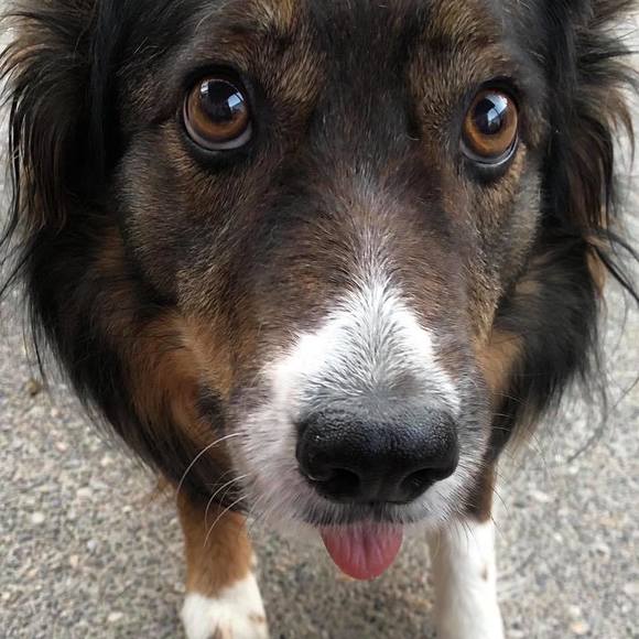 Profile Picture of Debbie Schauer (@debbieschauer) on Poshmark