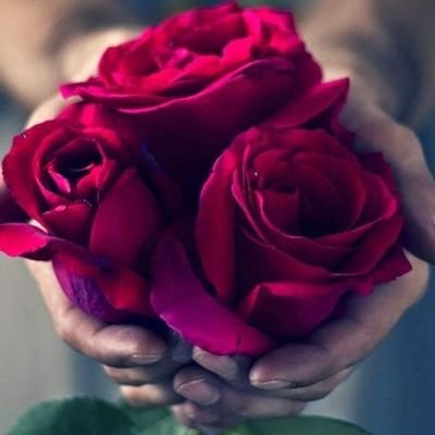 Profile Picture of Ahmad Albakri (@AhmadAl97211438) on Twitter