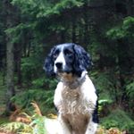 Profile Picture of Flora Campbell (@flo485) on Instagram