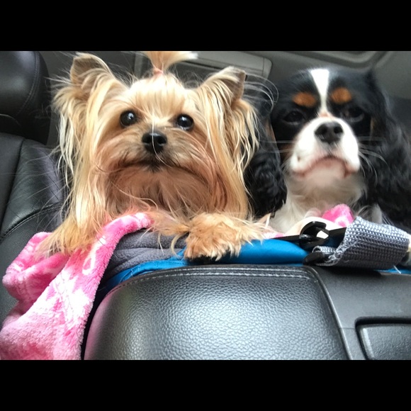 Profile Picture of Aileen Jones (@mrsj603) on Poshmark