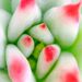 Profile Picture of Angel Monteagudo (@angelmonteagudo) on Pinterest